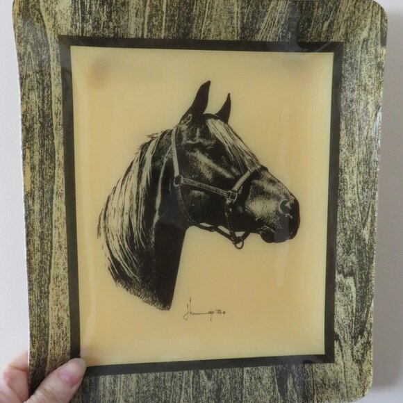 Hardy-Glenwood Polyester Composition Tray Picture Vintage (105V) - Picture 1 of 9